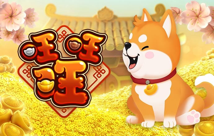 944天下彩网免费入口2